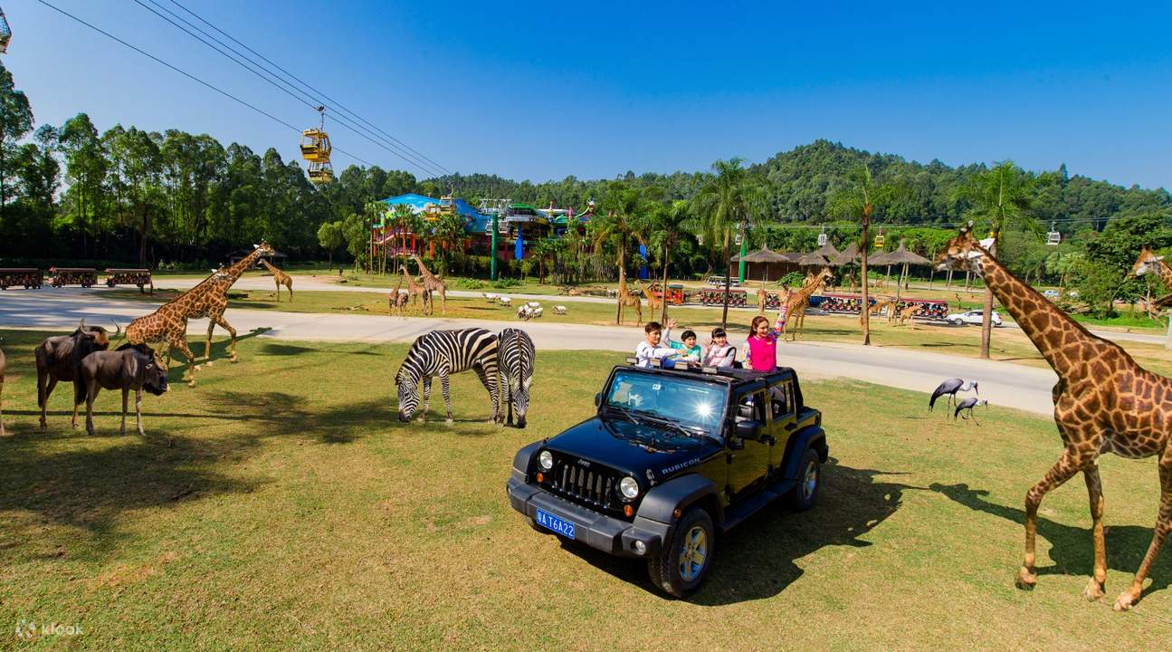 CongvienChimelongSafarioQuangChau 1