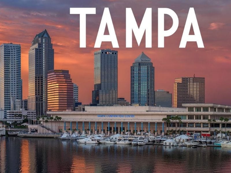 tampa 3
