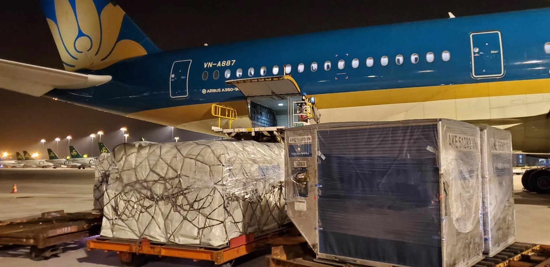 Vietnam Airlines se thue tau bay de phat trien mang aircargo trong 6 thang cuoi nam nay