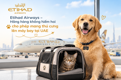 Etihad Airways – Hang hang khong hiem hoi cho phep mang thu cung len may bay tai UAE